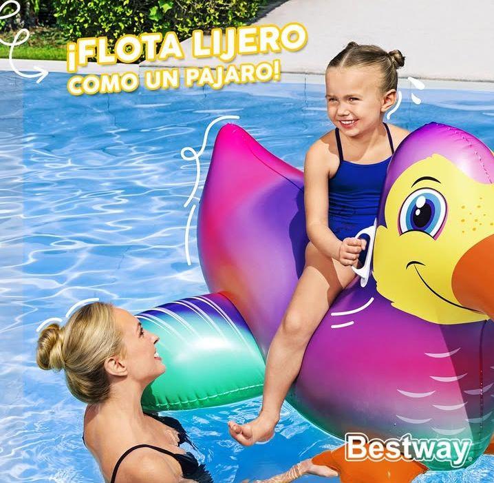 INFLABLES Y FLOTADORES